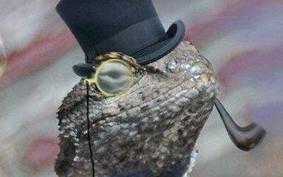 Source : Lizard Squard Source : Lizard Squard
