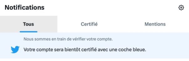 Il suffit de payer pour être en attente de certification, mais ce n'est pas instantané. // Source : Capture Numerama Il suffit de payer pour être en attente de certification, mais ce n'est pas instantané. // Source : Capture Numerama