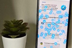 Twitter Blue // Source : Numerama/NL Twitter Blue // Source : Numerama/NL