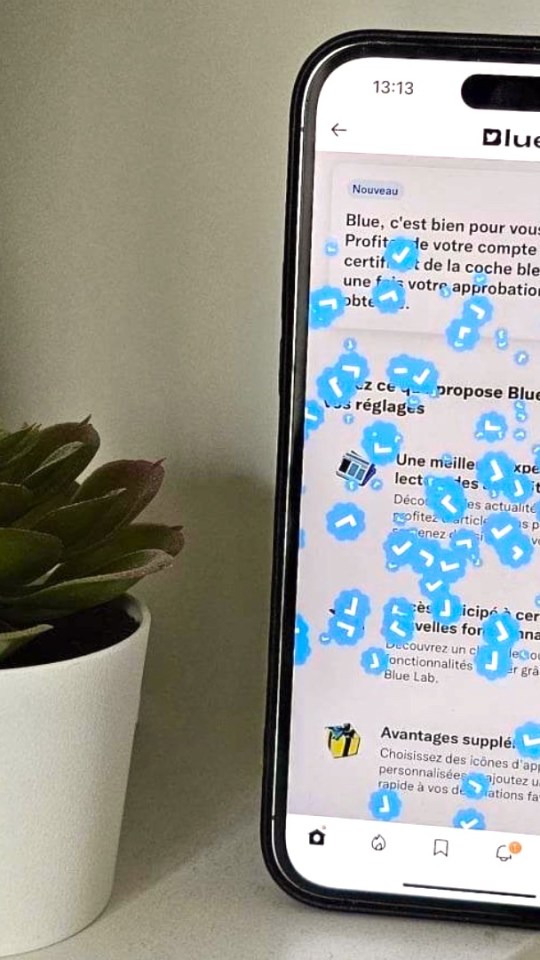 Twitter Blue // Source : Numerama/NL Twitter Blue // Source : Numerama/NL