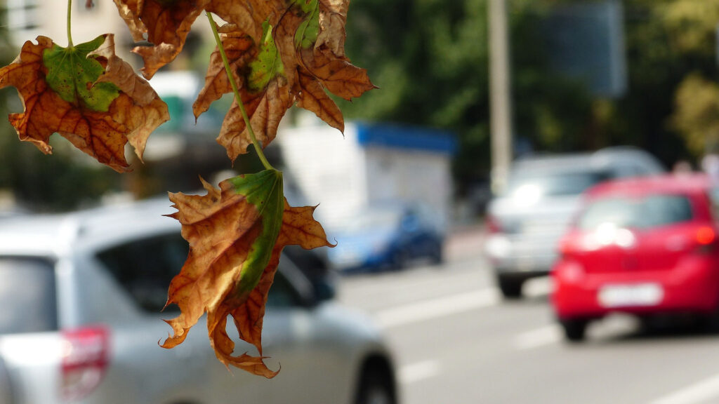 Qualité de l'air et voiture en ville // Source : Laila_ - Pixabay Qualité de l'air et voiture en ville // Source : Laila_ - Pixabay