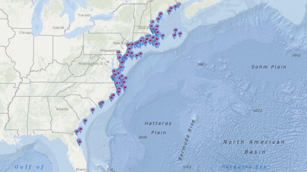 Carte des baleines retrouvées mortes sur les côtes états-uniennes de l'Atlantique. // Source : NOAA Carte des baleines retrouvées mortes sur les côtes états-uniennes de l'Atlantique. // Source : NOAA