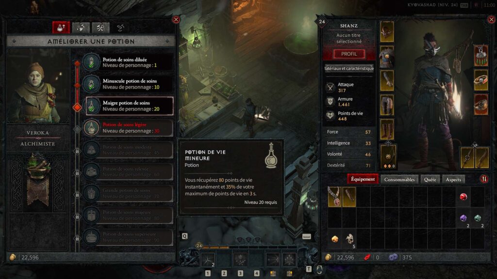 Diablo 4 potion de soins Diablo 4 potion de soins