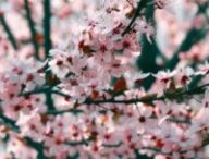Source : Pexels Source : Pexels