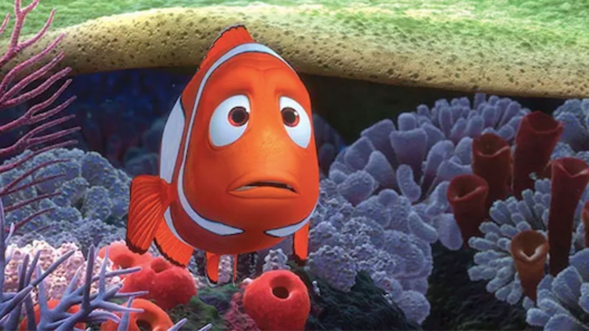 Source : Le monde de Nemo Source : Le monde de Nemo