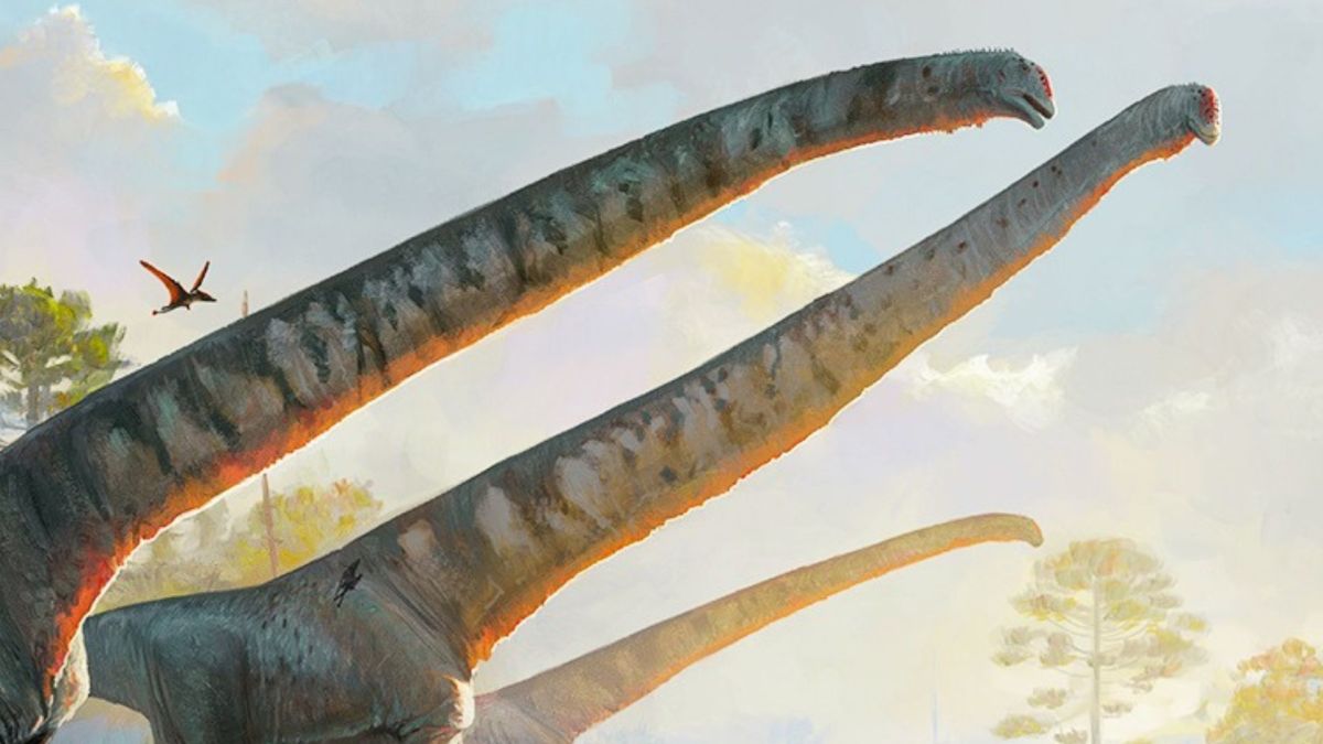 Sauropode // Source : Júlia d'Oliveira Sauropode // Source : Júlia d'Oliveira