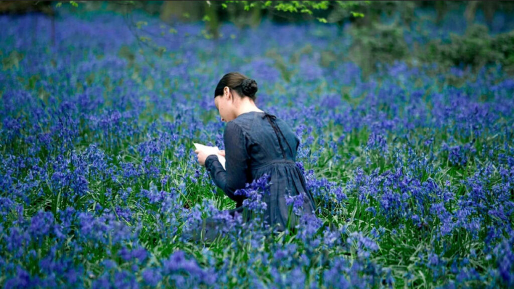 Bright Star // Source : Laurie Sparham Bright Star // Source : Laurie Sparham