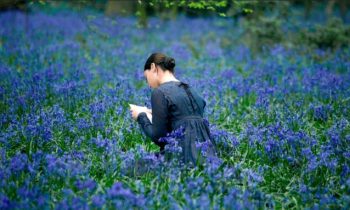 Bright Star // Source : Laurie Sparham Bright Star // Source : Laurie Sparham