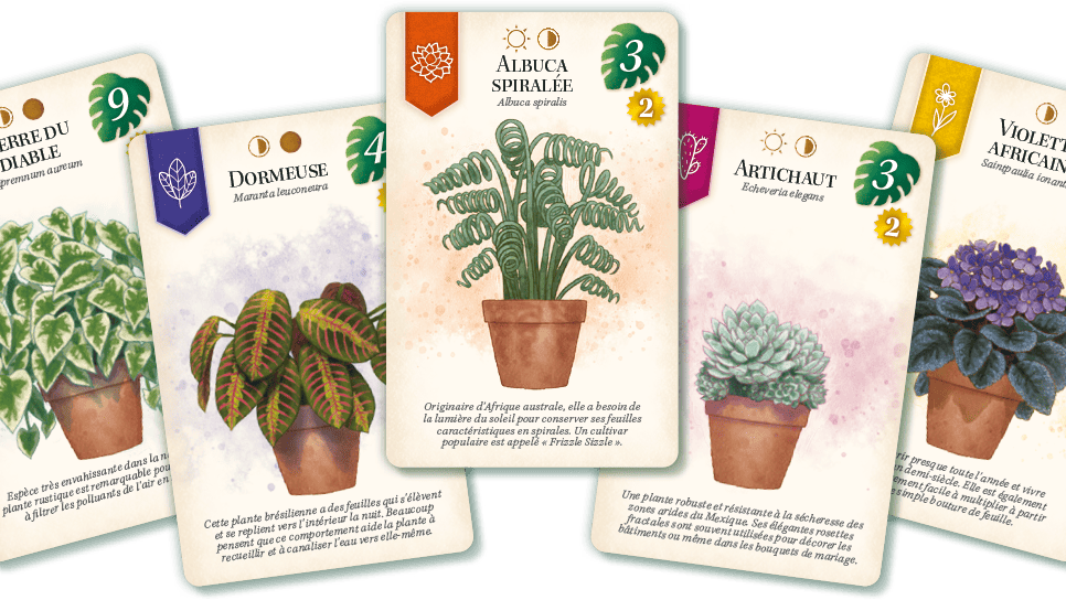 Exemples de plantes // Source : Lucky Duck Games Exemples de plantes // Source : Lucky Duck Games