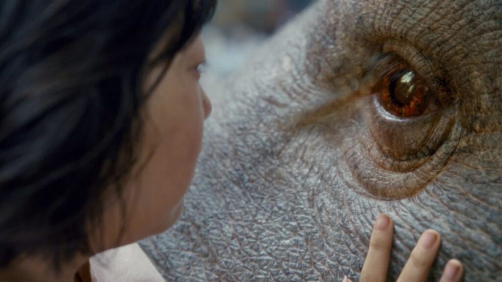 Okja // Source : Netflix Okja // Source : Netflix