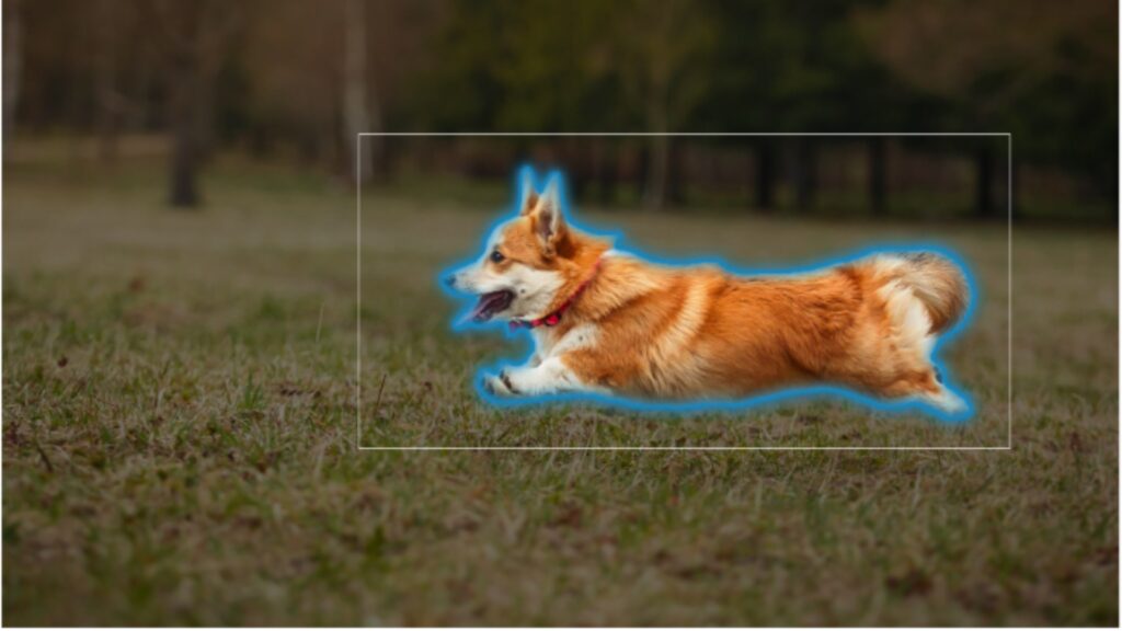 Ici, c'est un chien qui a pu être sélectionné // Source : Capture d'écran Numerama Ici, c'est un chien qui a pu être sélectionné // Source : Capture d'écran Numerama