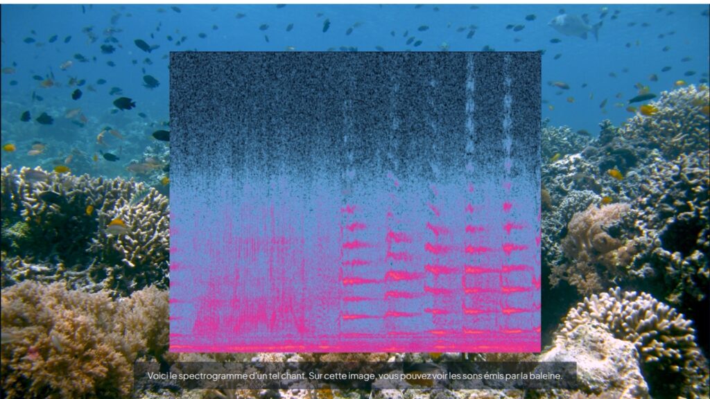 Le spectrogramme d'une // Source : Capture d'écran Numerama Le spectrogramme d'une // Source : Capture d'écran Numerama
