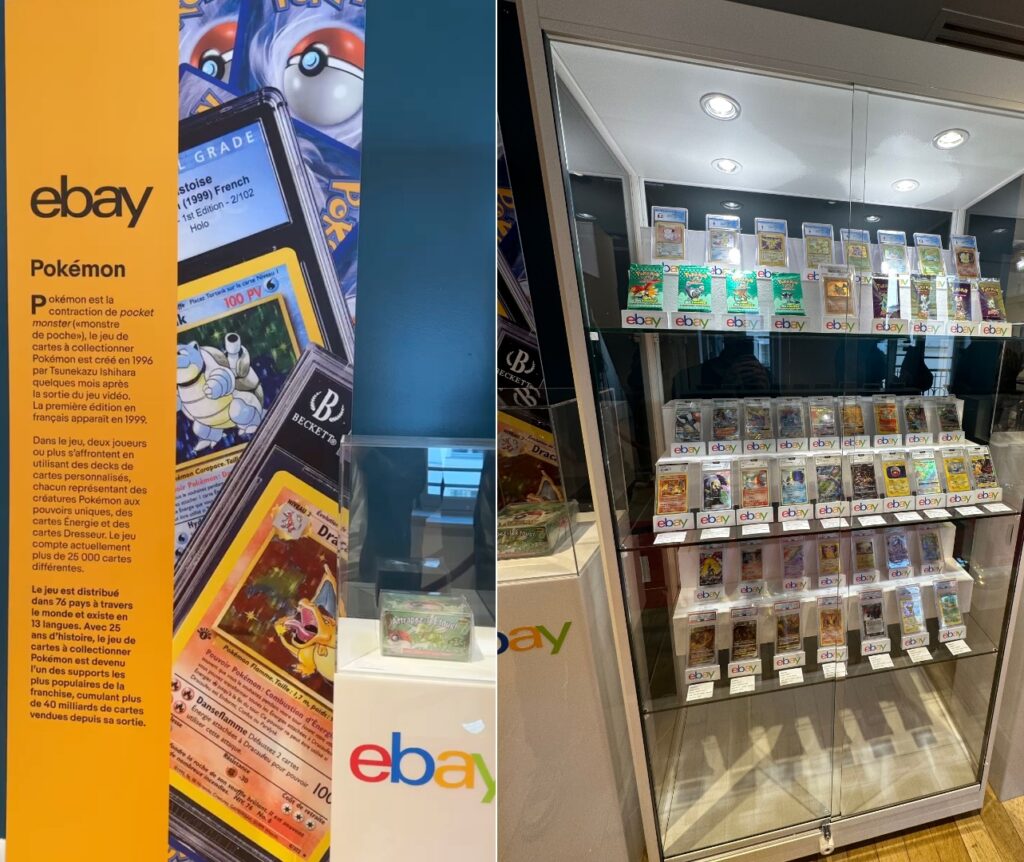 Les cartes Pokémon mises en vente lors des enchères du gala // Source : Numerama Les cartes Pokémon mises en vente lors des enchères du gala // Source : Numerama