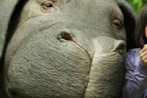 Okja // Source : Netflix Okja // Source : Netflix
