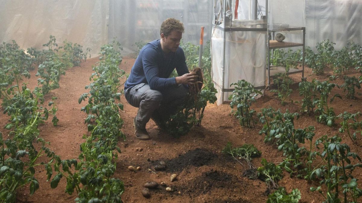 Matt Damon fait pousser des patates sur la planète rouge. // Source : Seul sur Mars Matt Damon fait pousser des patates sur la planète rouge. // Source : Seul sur Mars