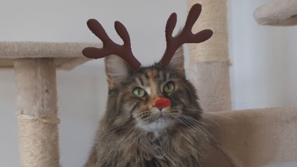 Par contre, je ne lui confierais pas le traineau du père Noël. // Source : Nino Barbey pour Numerama Par contre, je ne lui confierais pas le traineau du père Noël. // Source : Nino Barbey pour Numerama