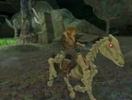 The Legend of Zelda : Tears of the Kingdom // Source : Capture Nintendo Switch