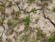 Les épisodes de sécheresse s'accentuent en raison du changement climatique. // Source : Pixabay Les épisodes de sécheresse s'accentuent en raison du changement climatique. // Source : Pixabay
