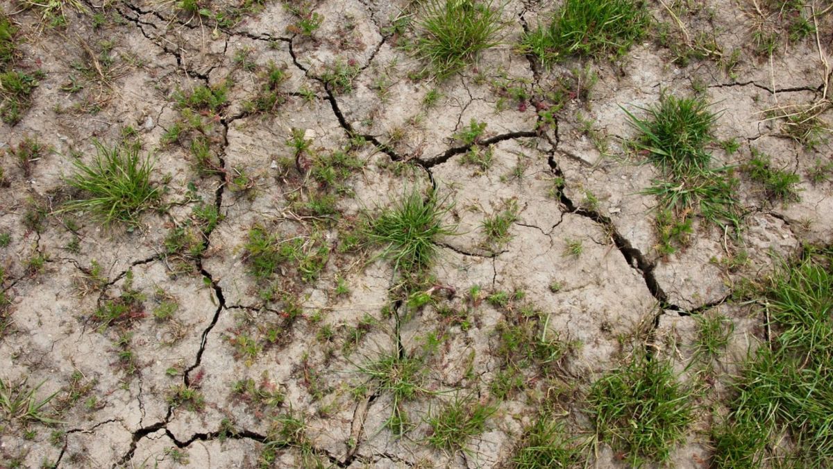 Les épisodes de sécheresse s'accentuent en raison du changement climatique. // Source : Pixabay Les épisodes de sécheresse s'accentuent en raison du changement climatique. // Source : Pixabay