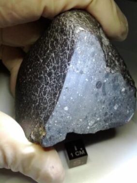 La météorite Black Beauty, qui s'est crashée en Inde à la fin du 19e siècle. // Source : NASA La météorite Black Beauty, qui s'est crashée en Inde à la fin du 19e siècle. // Source : NASA