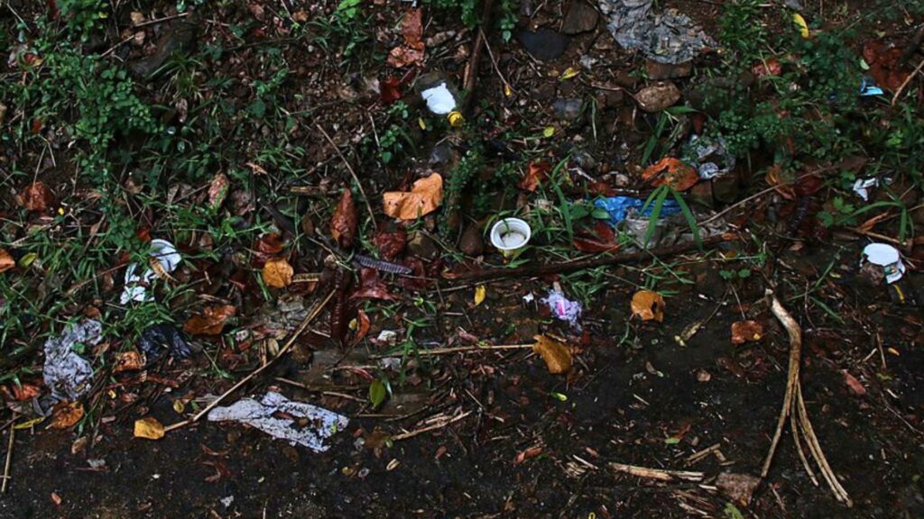Le littering crée des amoncellements de déchets sur les bords de route. // Source : Wikimédias Le littering crée des amoncellements de déchets sur les bords de route. // Source : Wikimédias