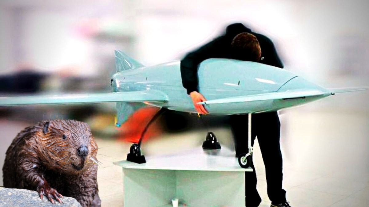 Le Beaver est un drone dévoilé en décembre 2022. // Source : Ihor Lashen Le Beaver est un drone dévoilé en décembre 2022. // Source : Ihor Lashen