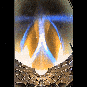 La coiffe de la fusée. // Source : SpaceX La coiffe de la fusée. // Source : SpaceX