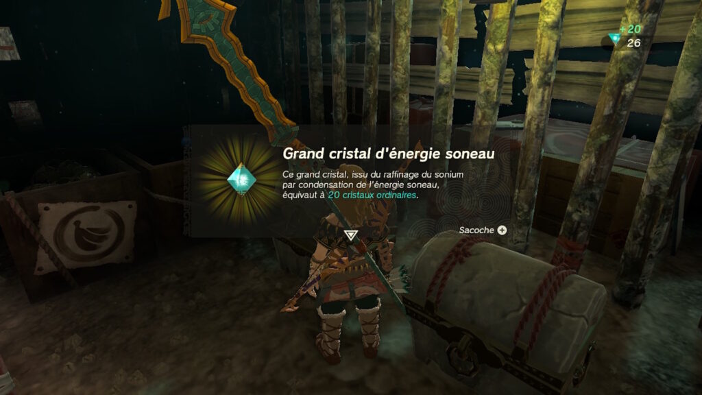 The Legend of Zelda: Tears of the Kingdom // Source : Capture Nintendo Switch The Legend of Zelda: Tears of the Kingdom // Source : Capture Nintendo Switch