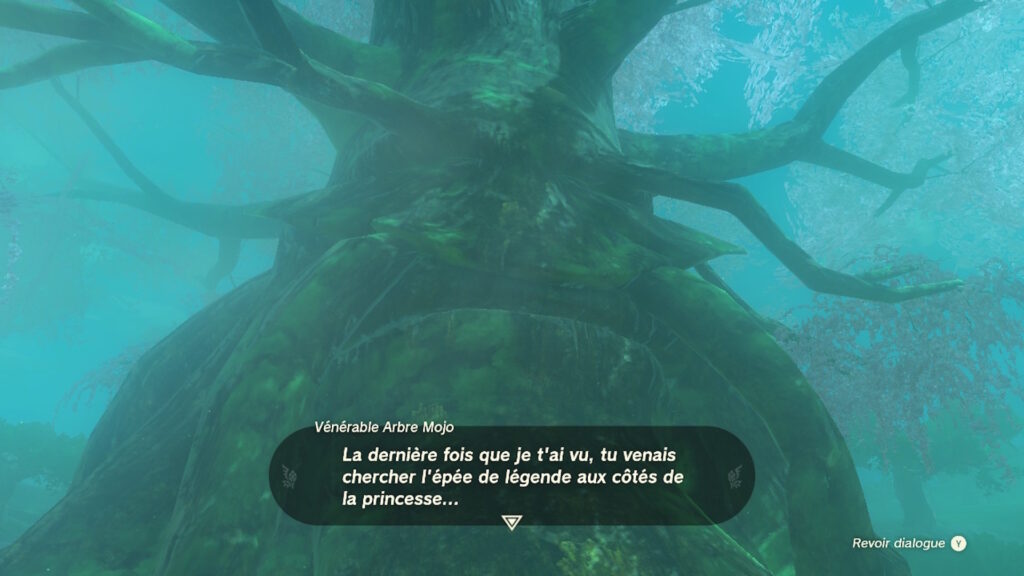 The Legend of Zelda: Tears of the Kingdom // Source : Capture Nintendo Switch The Legend of Zelda: Tears of the Kingdom // Source : Capture Nintendo Switch