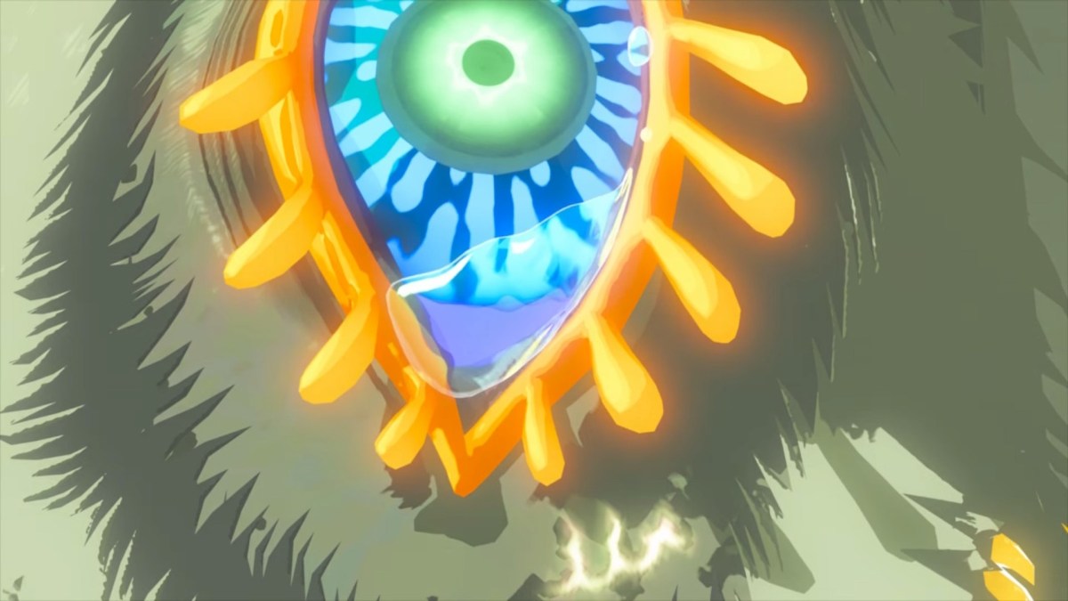 The Legend of Zelda: Tears of the Kingdom // Source : Capture Nintendo Switch The Legend of Zelda: Tears of the Kingdom // Source : Capture Nintendo Switch