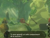 The Legend of Zelda: Tears of the Kingdom // Source : Capture Nintendo Switch