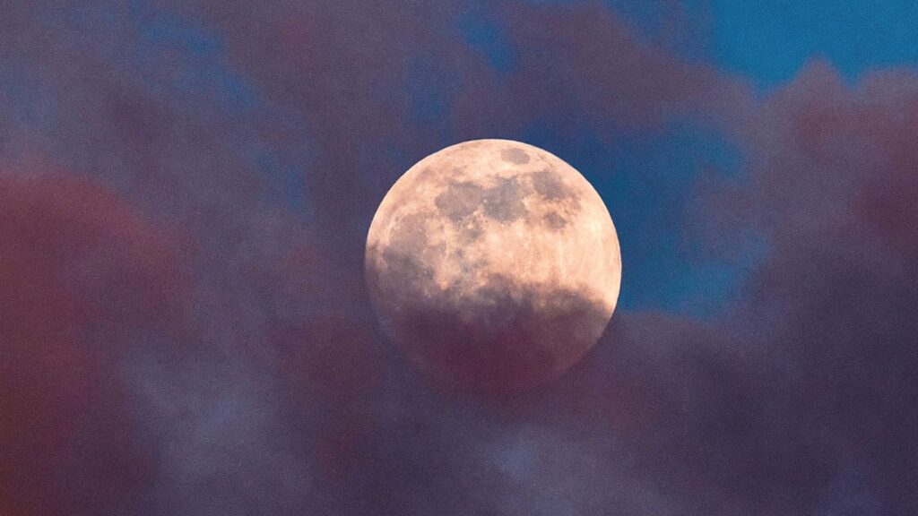 Pleine Lune. // Source : Canva Pleine Lune. // Source : Canva
