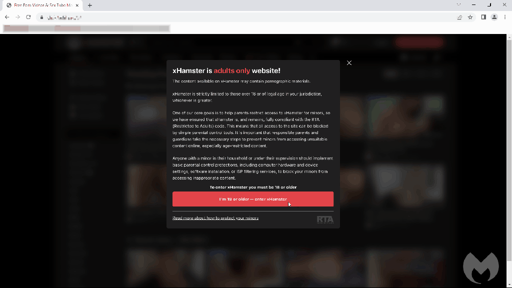 L'affichage du panneau piégé de mise à jour sur un site de film pour adultes. // Source : Malwarebytes L'affichage du panneau piégé de mise à jour sur un site de film pour adultes. // Source : Malwarebytes