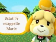 Source : Animal Crossing