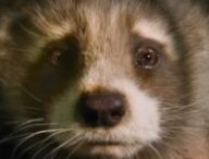 Rocket dans Les Gardiens de la Galaxie 3. // Source : Marvel