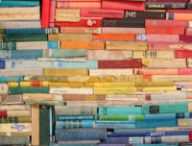 La Z-Library est la plus grande bibliothèque illégale sur le web. // Source : Unsplash La Z-Library est la plus grande bibliothèque illégale sur le web. // Source : Unsplash