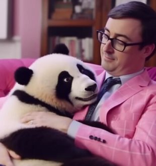 Image générée par IA de John Oliver avec un panda, publiée sur le subredddit r/aww.  // Source : Reddit