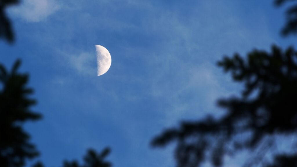Lune en quartier. // Source : Canva Lune en quartier. // Source : Canva