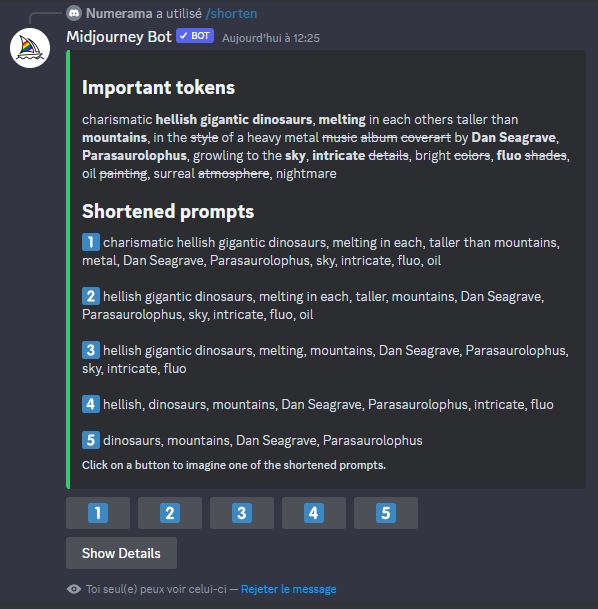 démo shorten prompt 2 démo shorten prompt 2