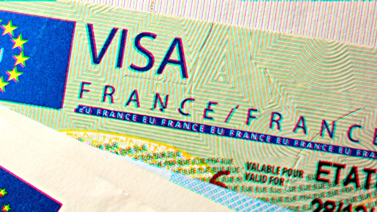 Les hacktivistes russes s'attaquent au site de demande de visa. // Source : Service public Les hacktivistes russes s'attaquent au site de demande de visa. // Source : Service public