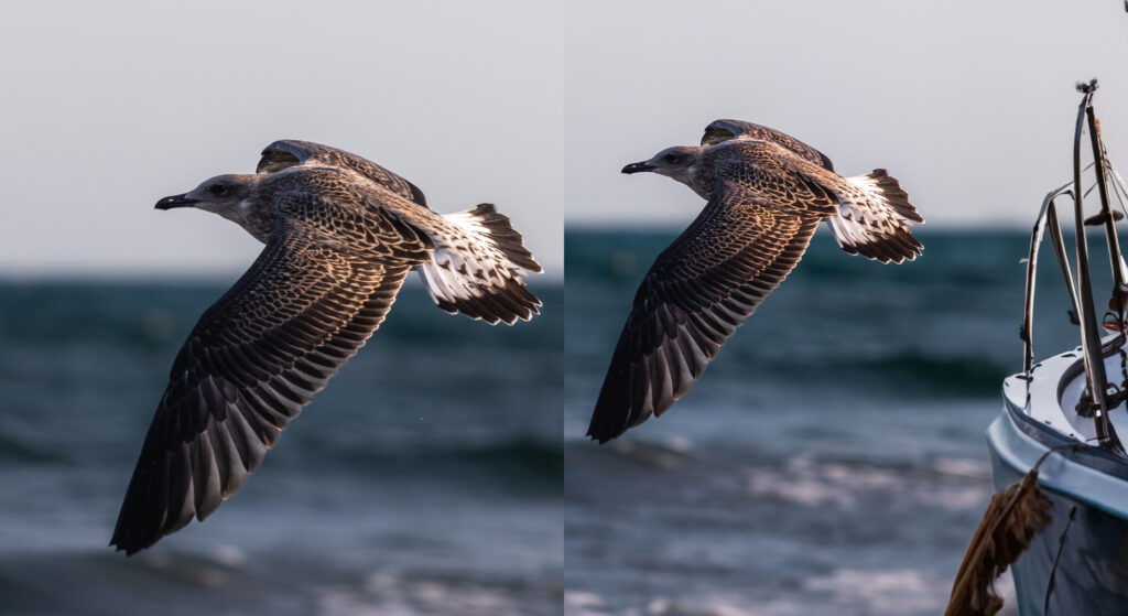 À gauche la photographie originale, à droite l'image agrandie par IA. // Source : Numerama À gauche la photographie originale, à droite l'image agrandie par IA. // Source : Numerama