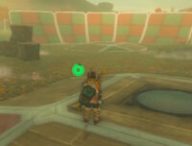 The Legend of Zelda: Tears of the Kingdom // Source : Capture Nintendo Switch