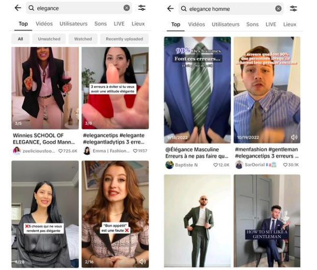 Les "influenceurs de l'élégance" s'appuient sur des normes souvent usitées // Source : Capture Numerama Les "influenceurs de l'élégance" s'appuient sur des normes souvent usitées // Source : Capture Numerama