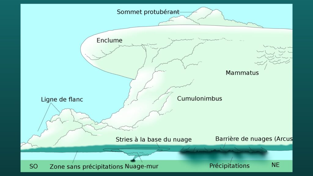 Schéma d'un orage supercellulaire. // Source : Wikimedia/CC/Vanessa Ezekowitz Schéma d'un orage supercellulaire. // Source : Wikimedia/CC/Vanessa Ezekowitz