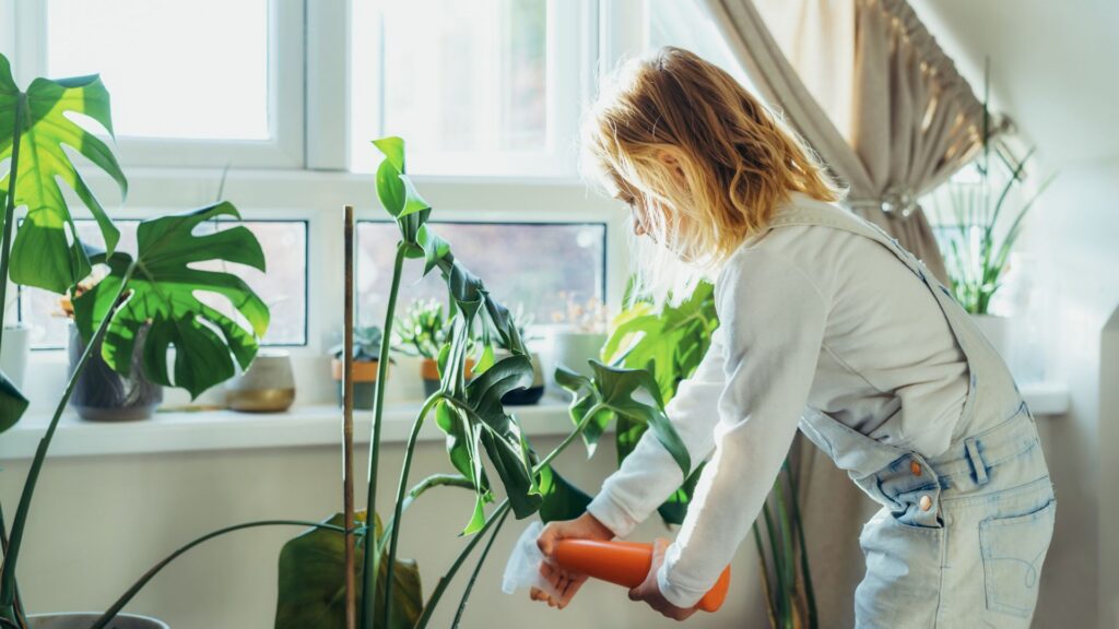 Des plantes, des plantes, des plantes. // Source : Canva Des plantes, des plantes, des plantes. // Source : Canva