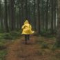 S'abriter sous un arbre pendant l'orage est dangereux. // Source : Canva S'abriter sous un arbre pendant l'orage est dangereux. // Source : Canva