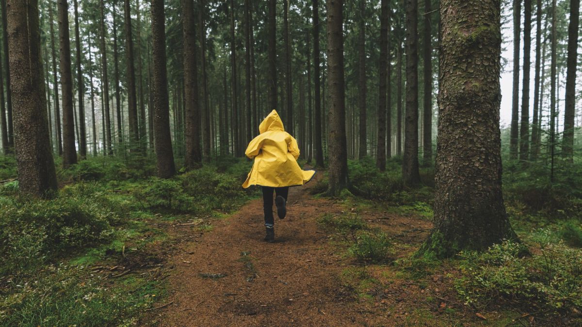 S'abriter sous un arbre pendant l'orage est dangereux. // Source : Canva S'abriter sous un arbre pendant l'orage est dangereux. // Source : Canva