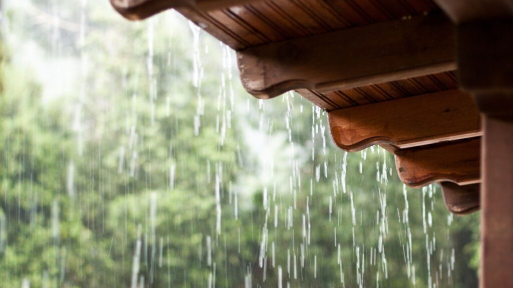 La pluie elle-même n'a pas d'odeur. // Source : Canva La pluie elle-même n'a pas d'odeur. // Source : Canva