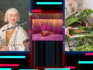 selectionTikTok_juin2023