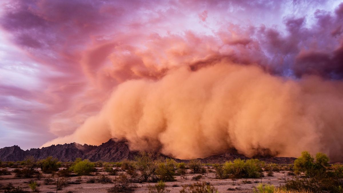 Tempête de sable. // Source : Canva Tempête de sable. // Source : Canva